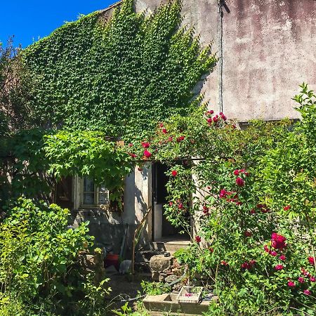 Le Mas Du Figuier, Maison De Vacances Le Bousquet-d'Orb Zewnętrze zdjęcie