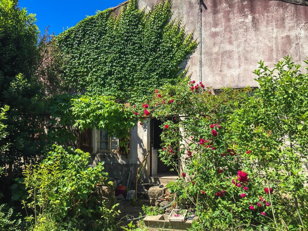 Le Mas Du Figuier, Maison De Vacances Le Bousquet-d'Orb Zewnętrze zdjęcie