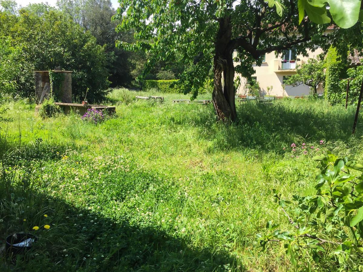 Le Mas Du Figuier, Maison De Vacances Le Bousquet-d'Orb Zewnętrze zdjęcie